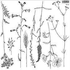 Iron Orchid Design Stamps