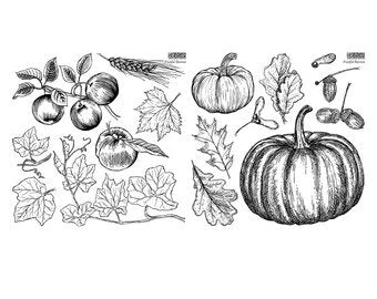 Iron Orchid Design Stamps