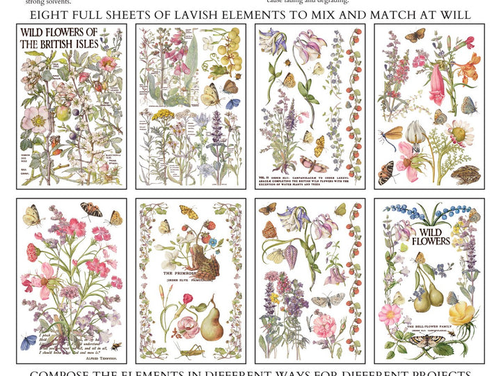 Iron Orchid Design Transfers