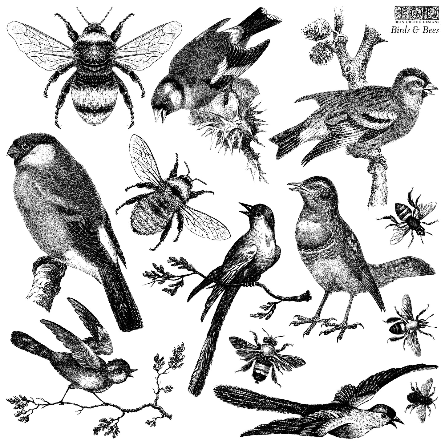 IOD Stamps