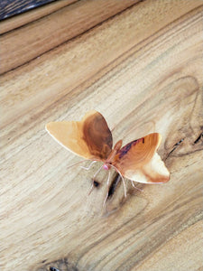 Wooden Butterflies