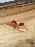 Wooden Butterflies