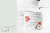 Country Chic Paint (4oz)